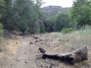 Then Crags Road which is aptly named for the many craggy rocks in the trail.
