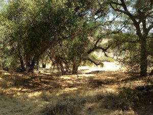 Pc1vr5oRzXWJhVh0hd-nyxdXbHi15qaIUnCjpZbYT2Q