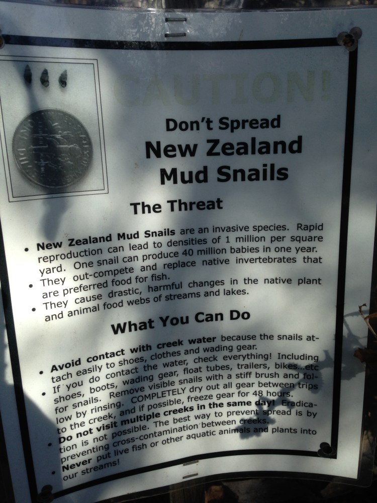 Ack! The Apocalypse!