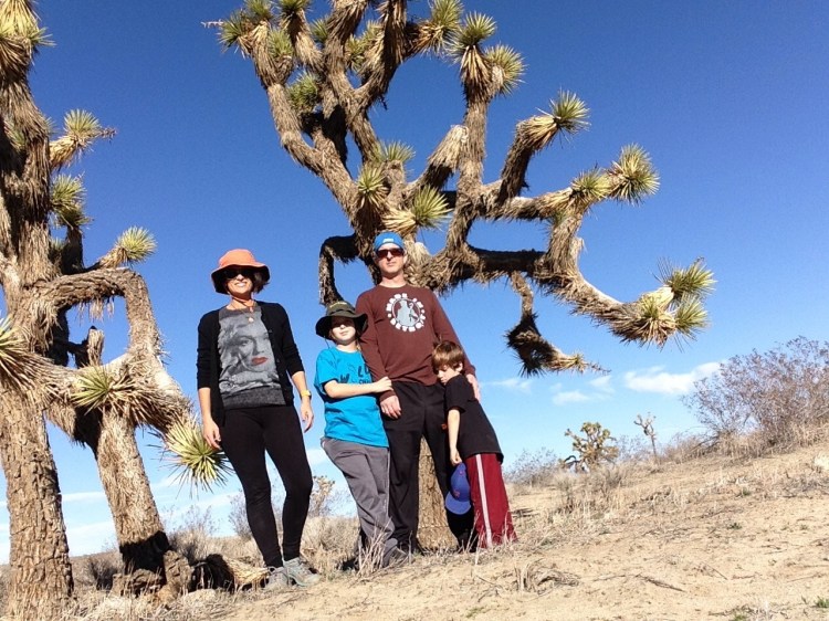 saddleback1
