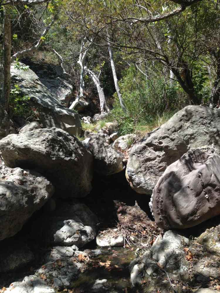 THE "TRAIL". 3 MILES OF THIS.