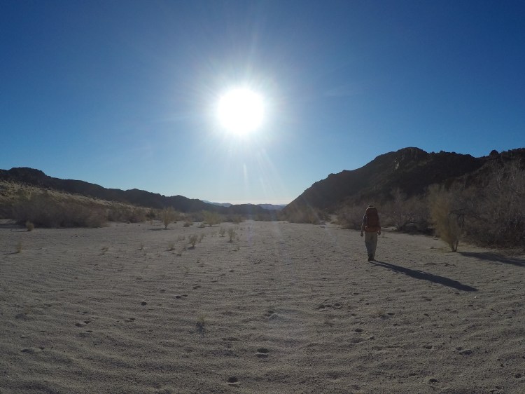 DCIM100GOPROGOPR1465.