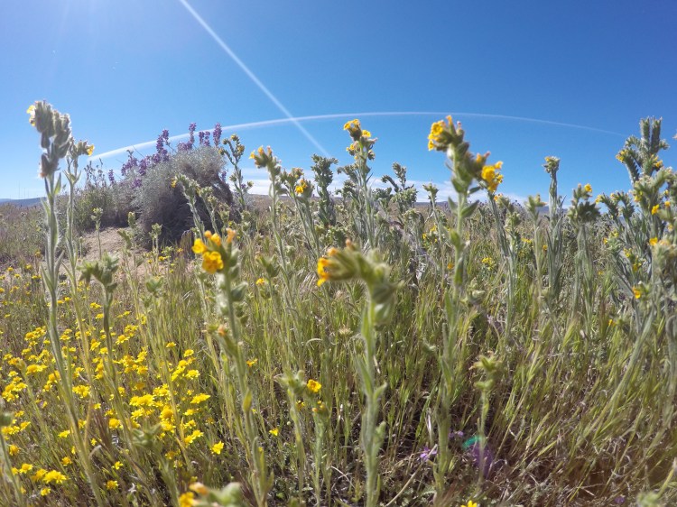 DCIM101GOPROGOPR2381.