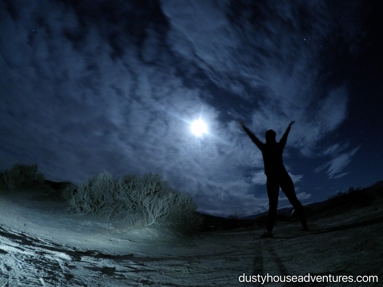 DCIM101GOPROGOPR2878.