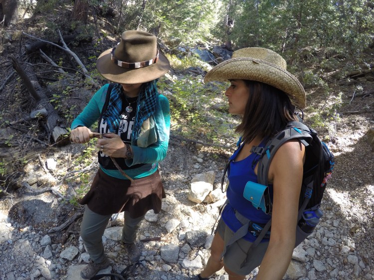 DCIM101GOPROGOPR4754.