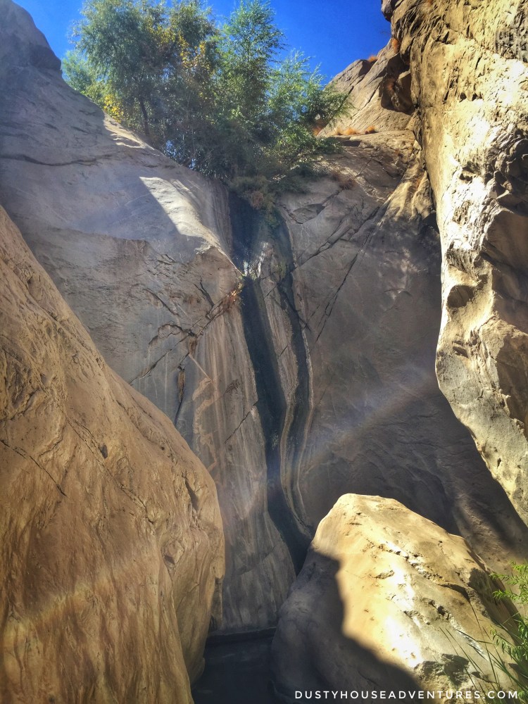 Processed with Snapseed.