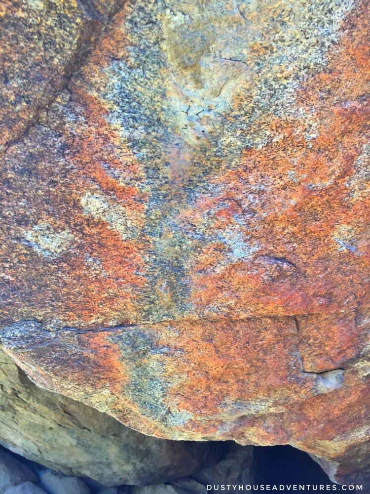 Processed with Snapseed.