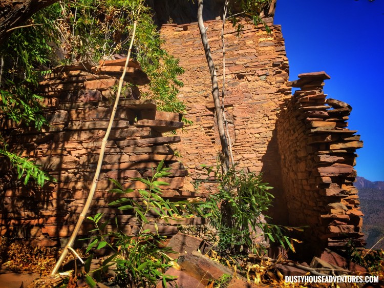 Processed with Snapseed.