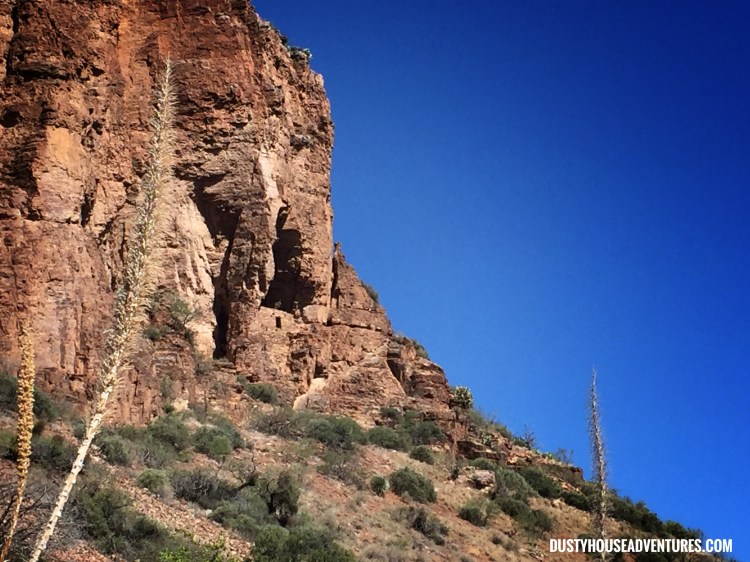 Processed with Snapseed.