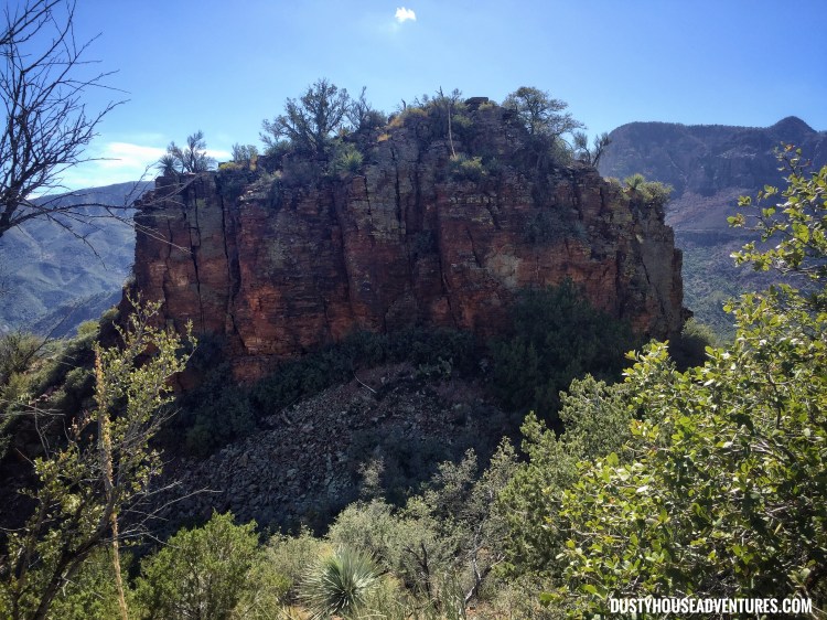 Processed with Snapseed.