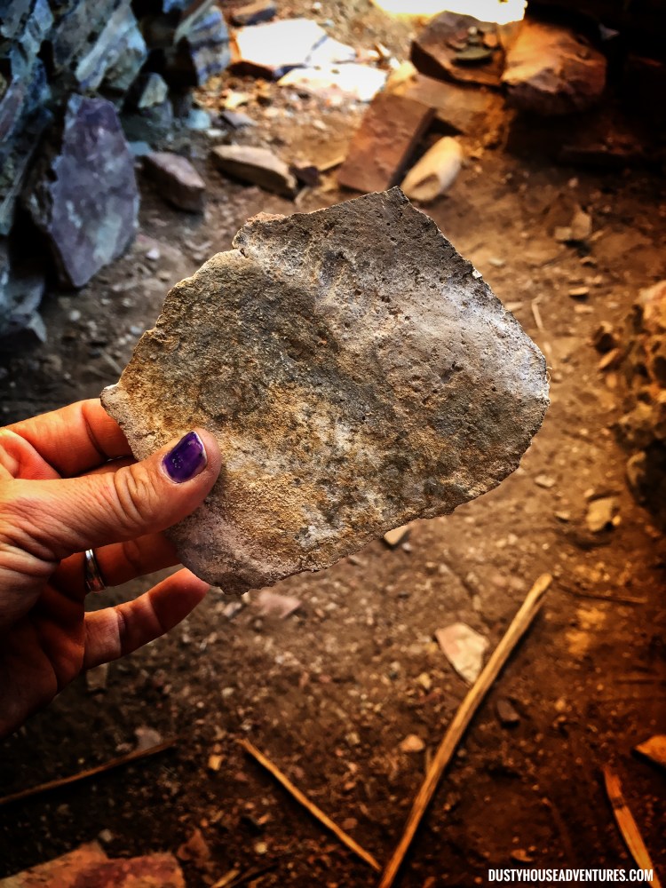 Processed with Snapseed.