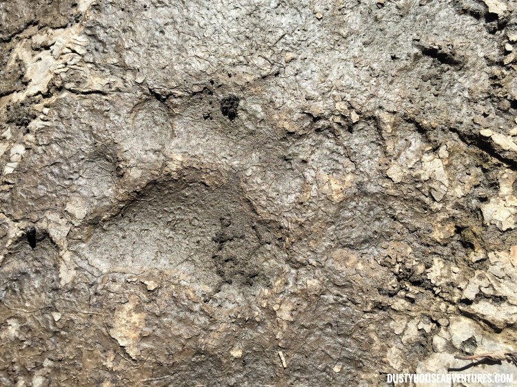 Processed with Snapseed.