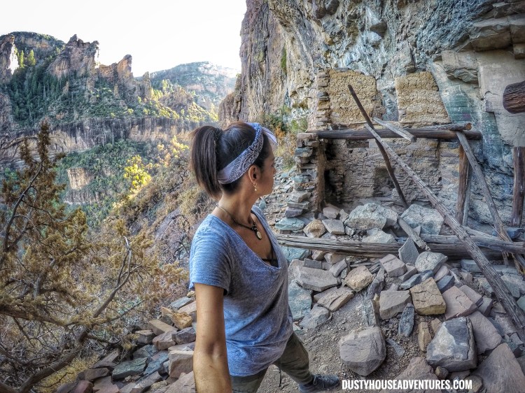 DCIM101GOPROGOPR5188.