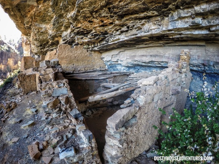 DCIM101GOPROGOPR5180.