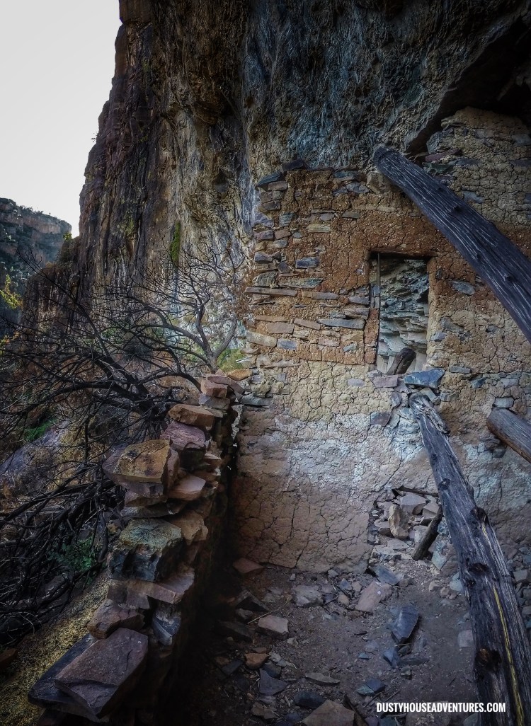 DCIM101GOPROGOPR5185.