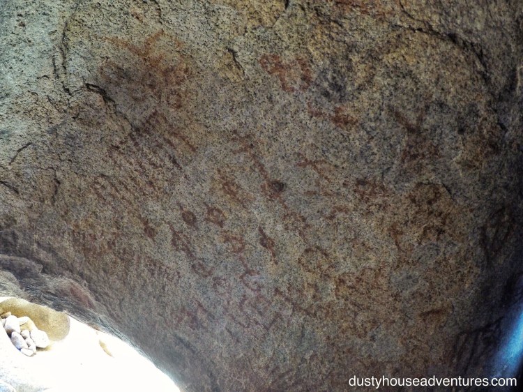 DCIM100GOPROGOPR5562.