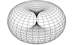 torus