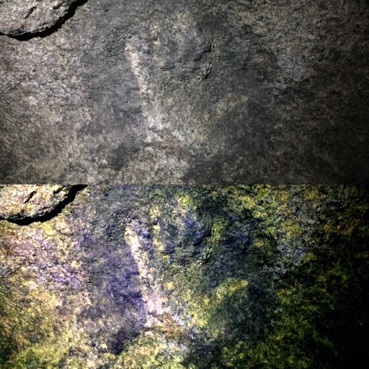 734daab4-9428-4aa3-8bd0-4170a3bcbc2b