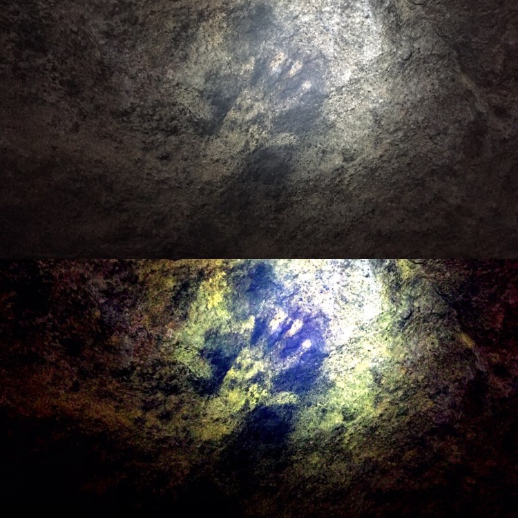 99f21ba8-d2a7-40ac-b371-7565798bcc4b