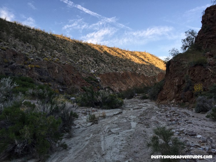 Watermarked1(2017-04-05-0756)