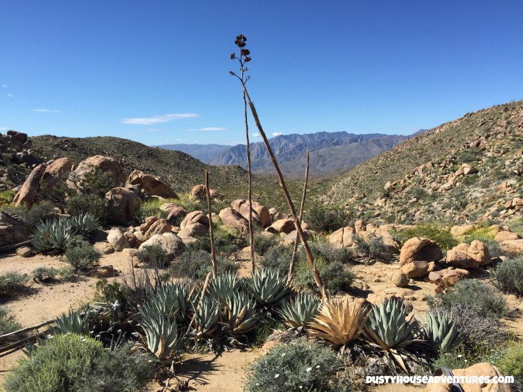 Watermarked1(2017-04-07-0802)