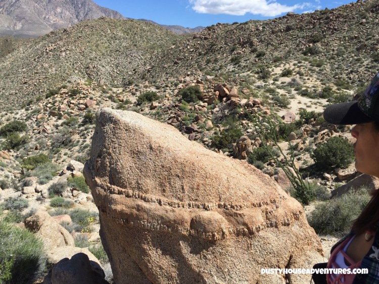 Watermarked12(2017-04-07-0805)