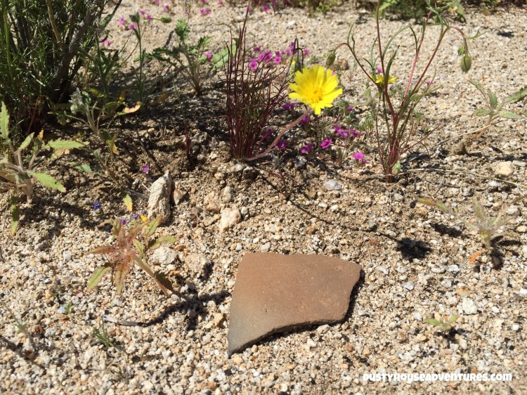 Watermarked13(2017-04-07-0805)