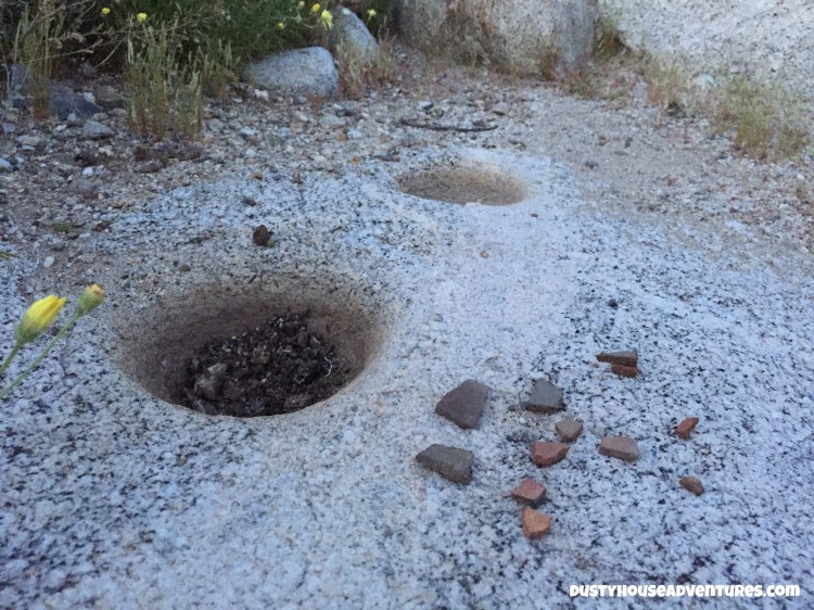 Watermarked15(2017-04-05-0758)