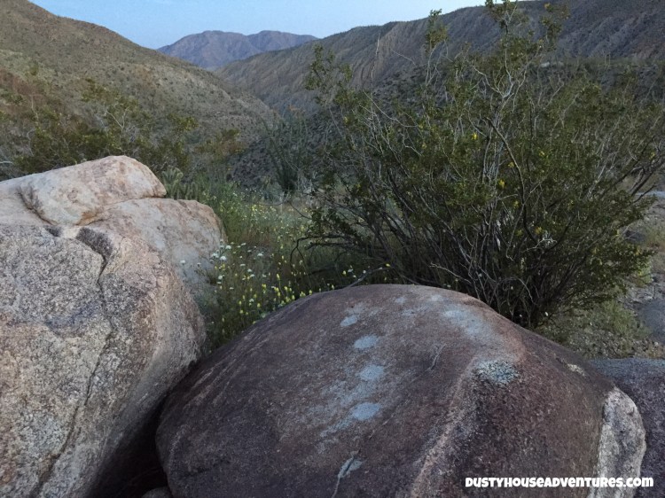 Watermarked16(2017-04-05-0758)