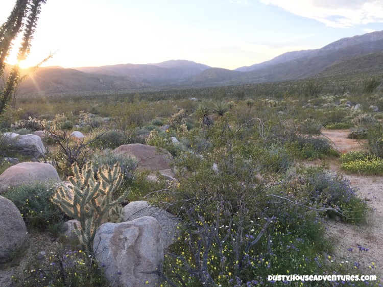 Watermarked6(2017-04-05-0757)