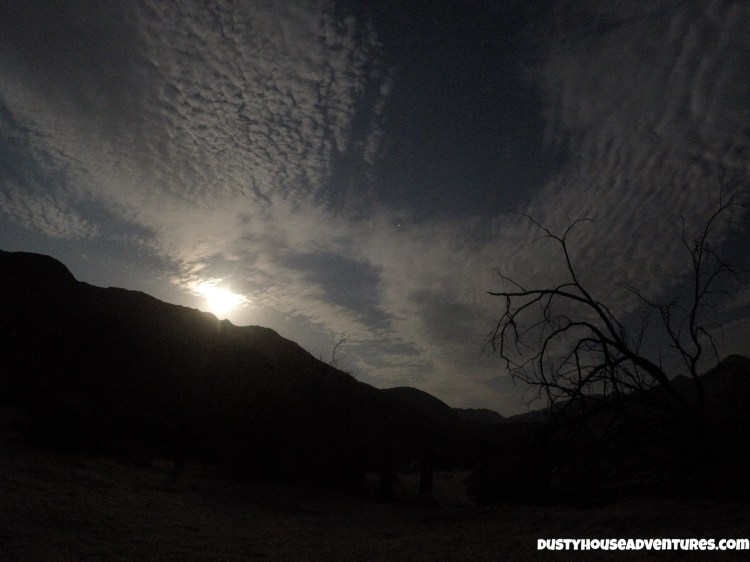 DCIM100GOPROGOPR6122.