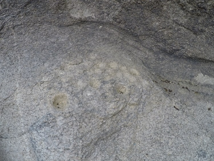 DCIM101GOPROGOPR6894.