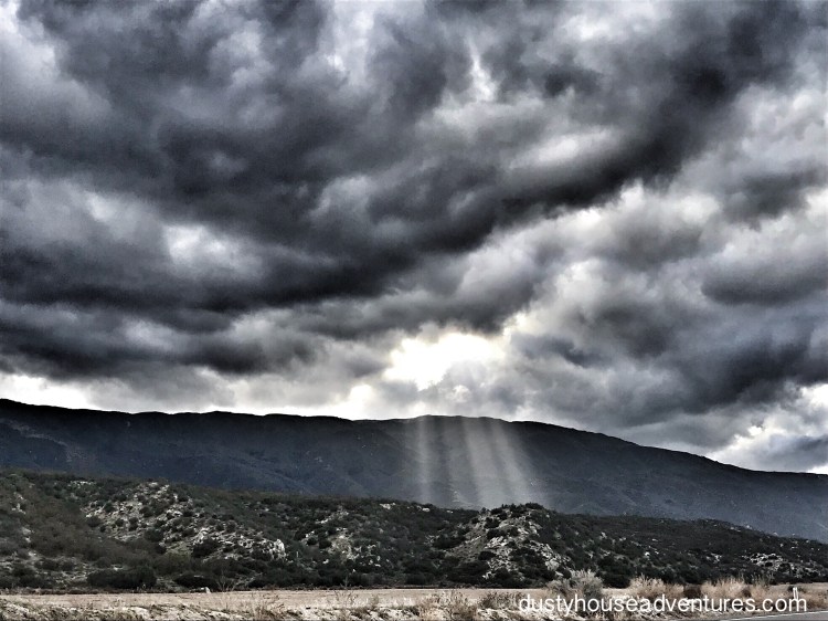 Happy St Patricks Day!